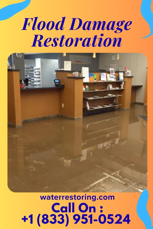 Flood Damage Restoration in Cedar Hill Lakes, MO