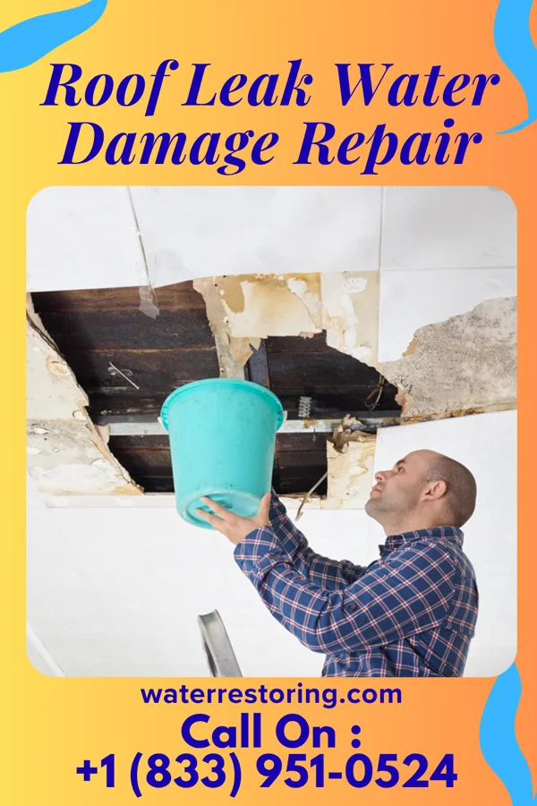 Roof Leak Water Damage Repair in Cedar Hill Lakes, MO