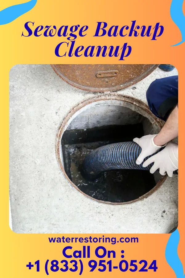 Sewage Backup Cleanup in Cedar Hill Lakes, MO