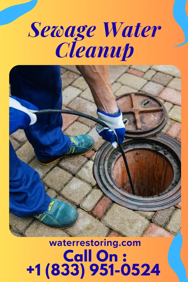 Sewage Water Cleanup in Cedar Hill Lakes, MO